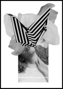 stripes_in_the_meadow1.jpg