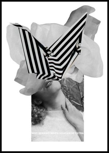 stripes_in_the_meadow1.jpg